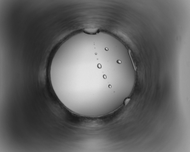 X0000089850488200707121720