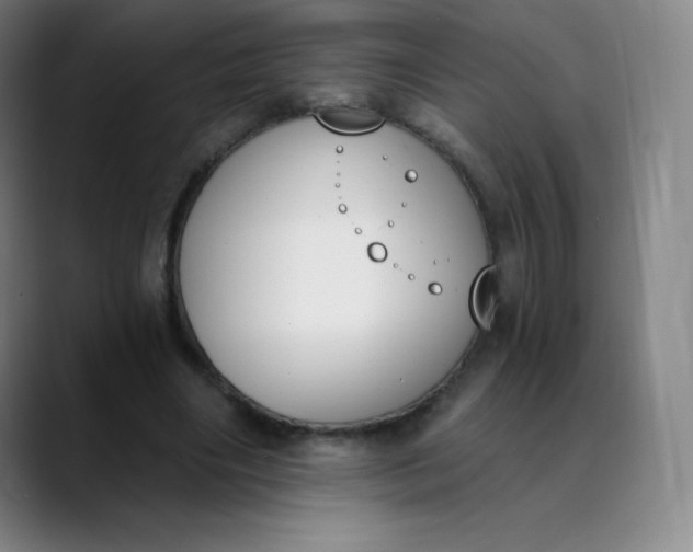 X0000089850490200707121720