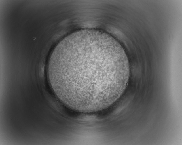X0000089850491200707121720