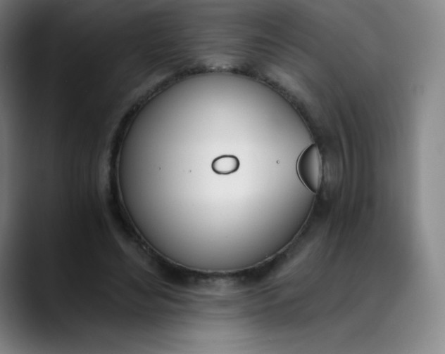 X0000089850492200707121720