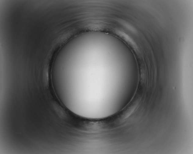 X0000089850493200707121720