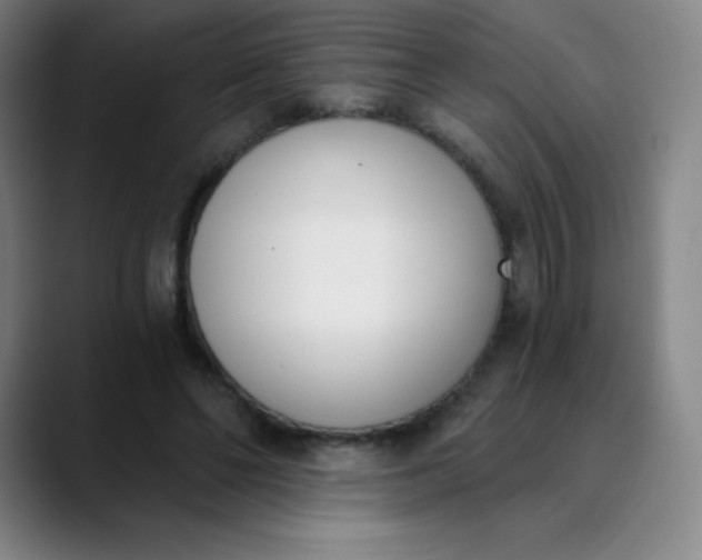 X0000089850494200707121720