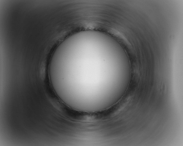 X0000089850496200707121720