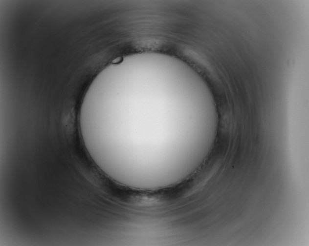 X0000089850498200707121720