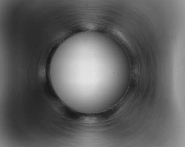 X0000089850500200707121720