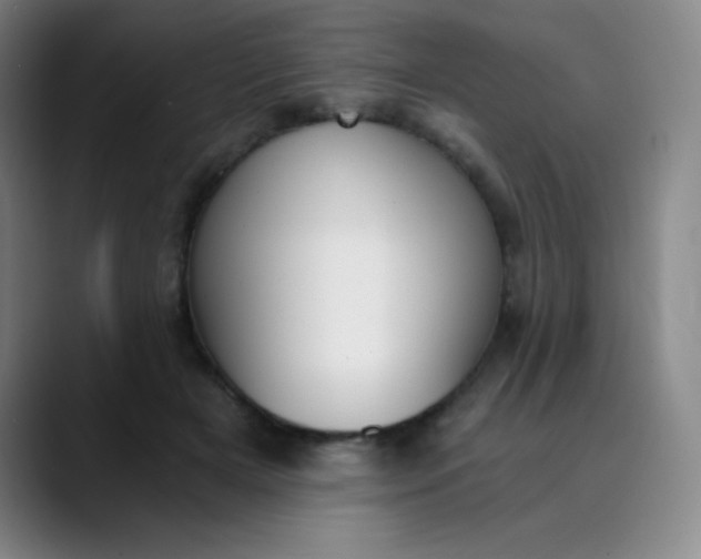 X0000089850505200707121720