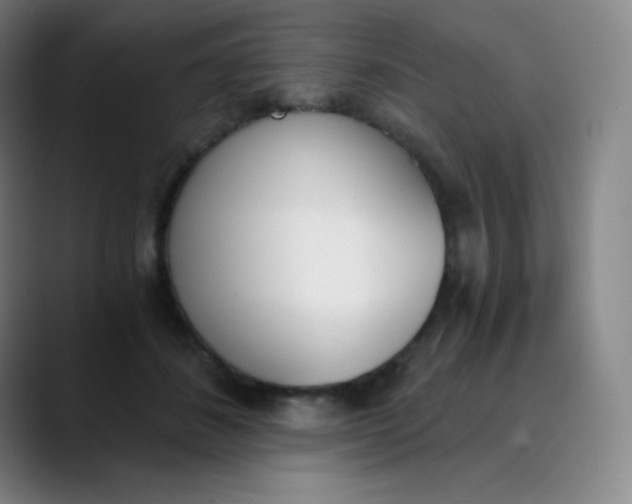 X0000089850508200707121720