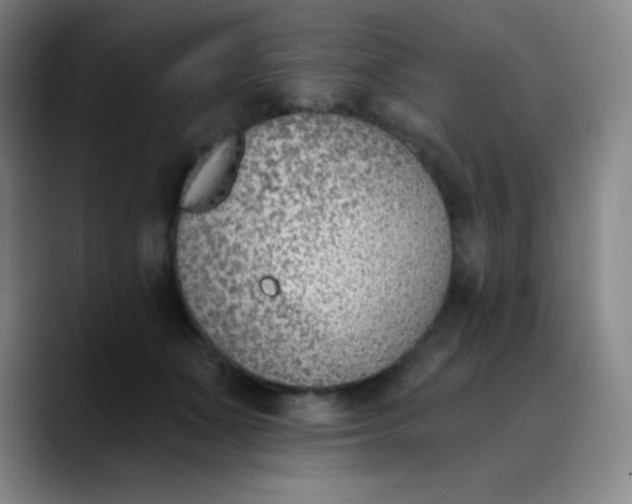 X0000089850511200707121720