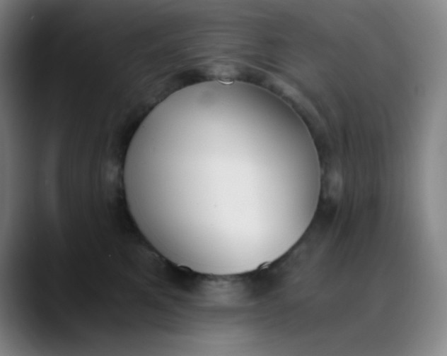 X0000089850521200707121720