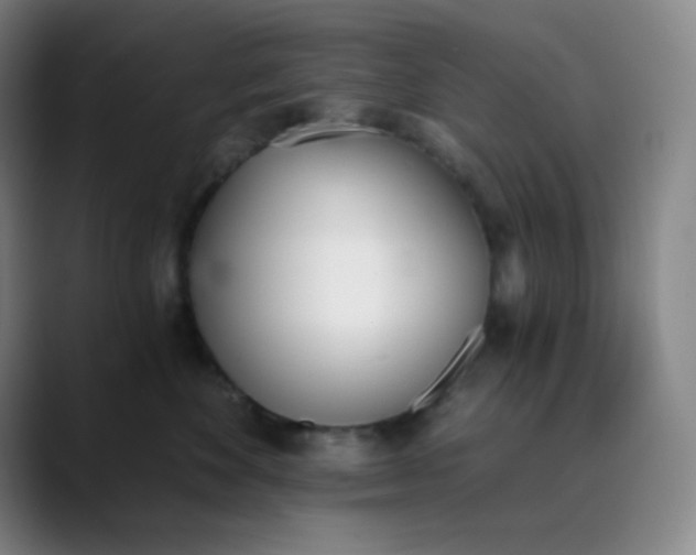 X0000089850524200707121720
