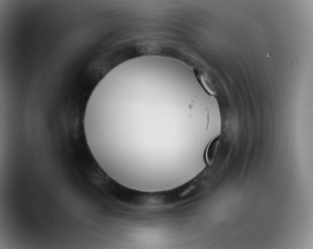 X0000089850525200707121720