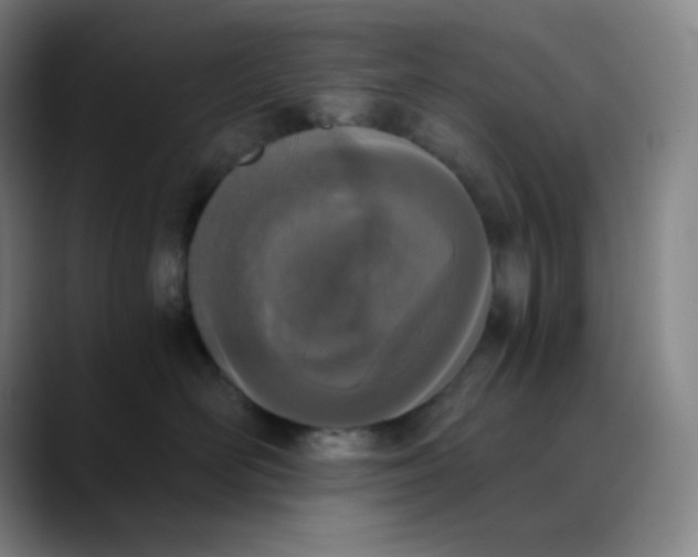 X0000089850526200707121720