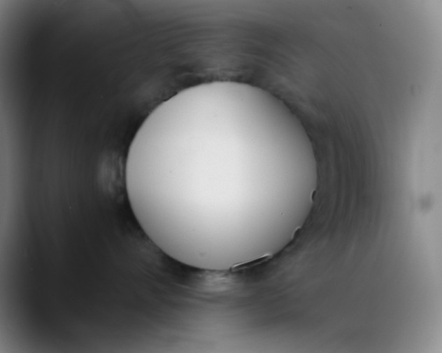 X0000089850528200707121720