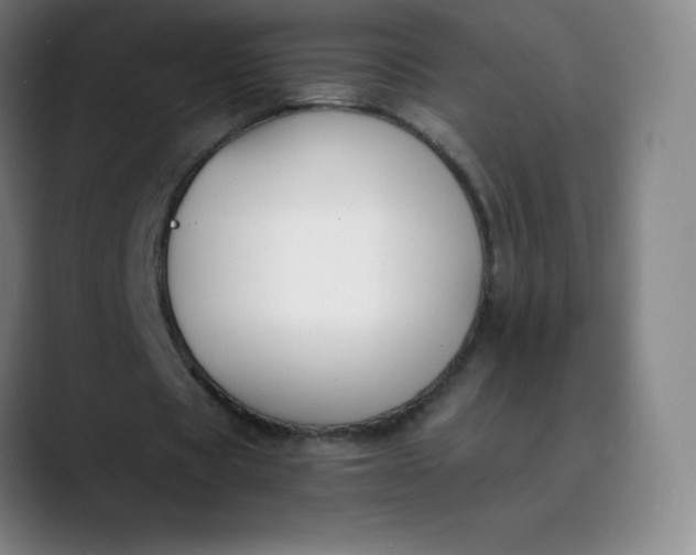 X0000089850529200707121719