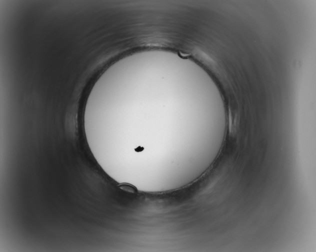 X0000089850531200707121719