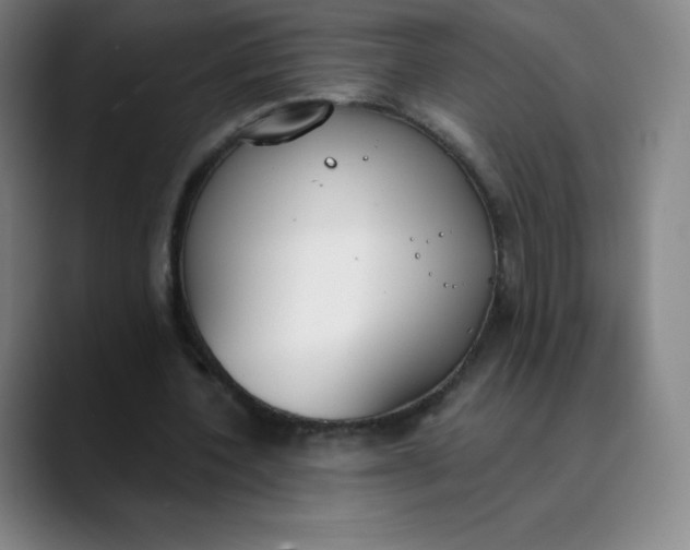 X0000089850532200707121719