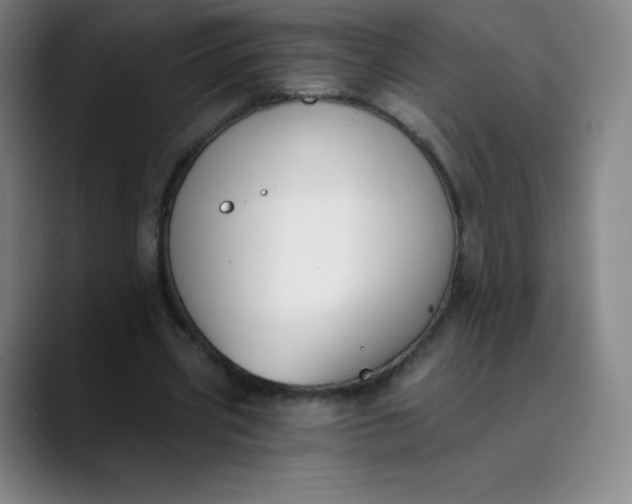 X0000089850533200707121719