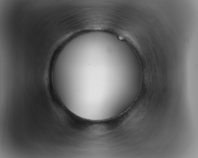 X0000089850536200707121719