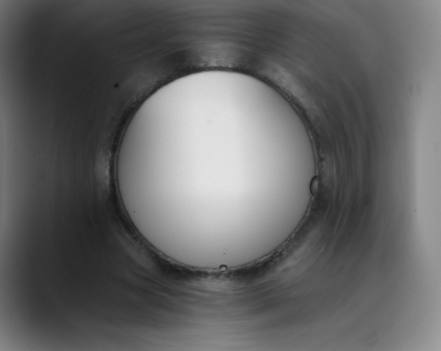 X0000089850537200707121719