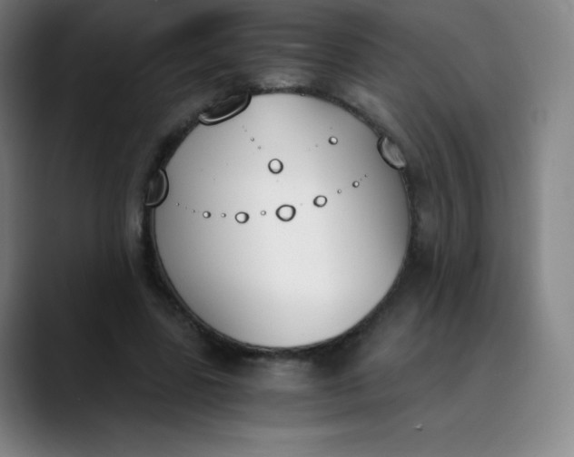 X0000089850539200707121719
