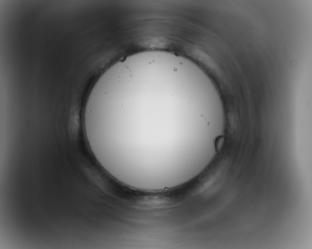 X0000089850541200707121719