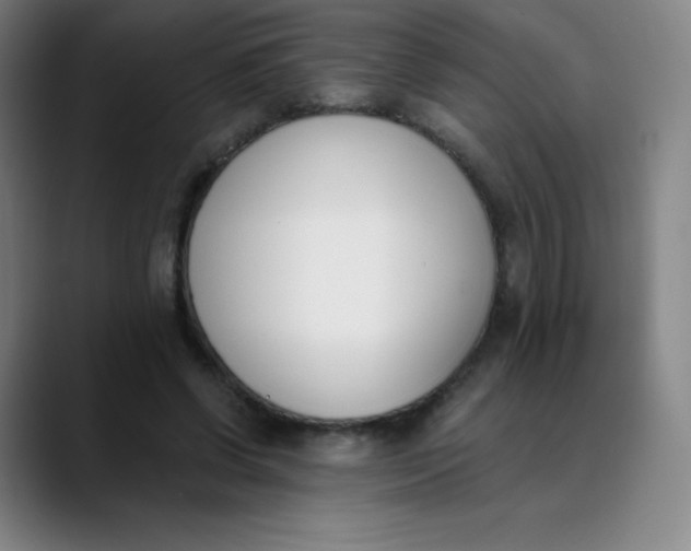 X0000089850542200707121719