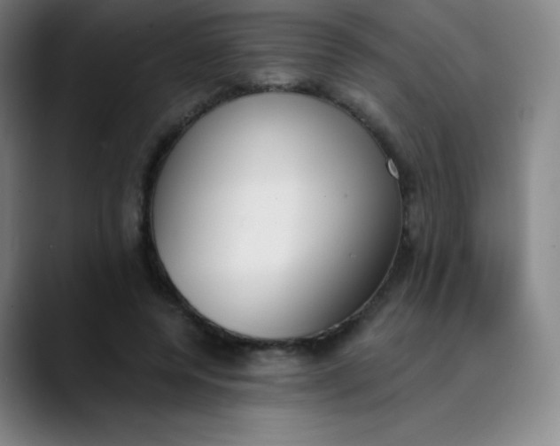 X0000089850544200707121720