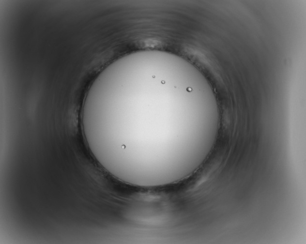 X0000089850545200707121720