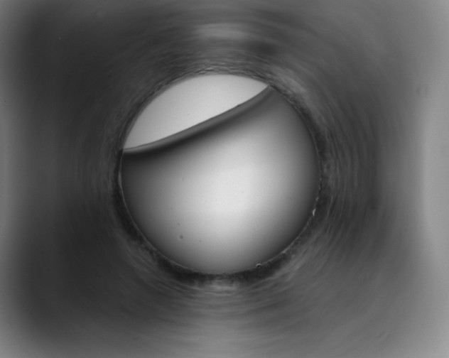 X0000089850546200707121720