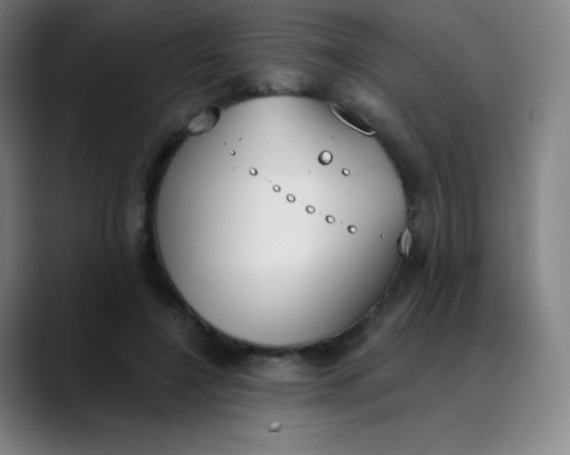 X0000089850548200707121720