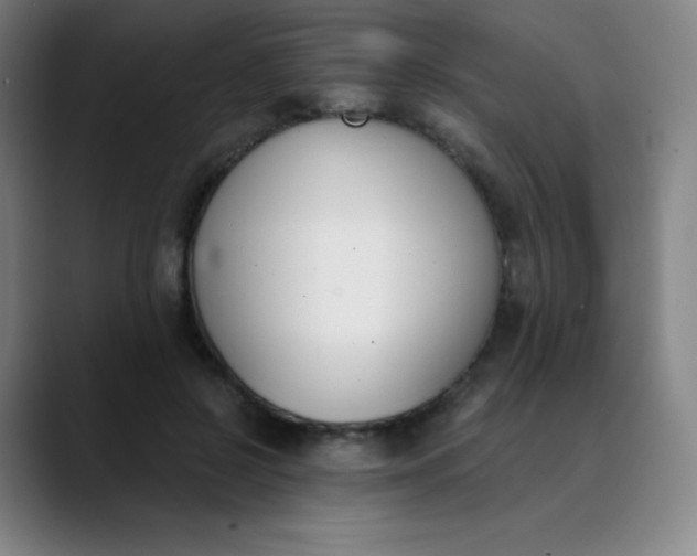 X0000089850550200707121720