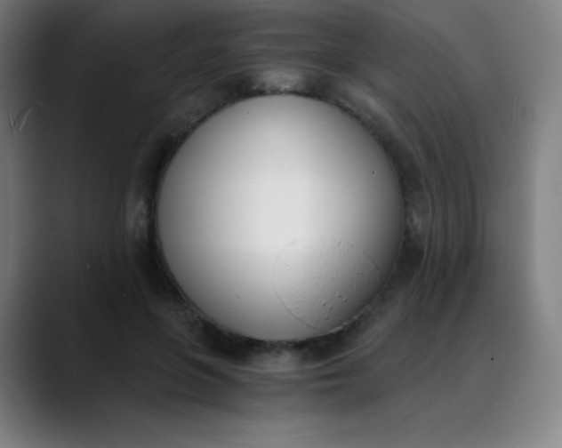 X0000089850551200707121720