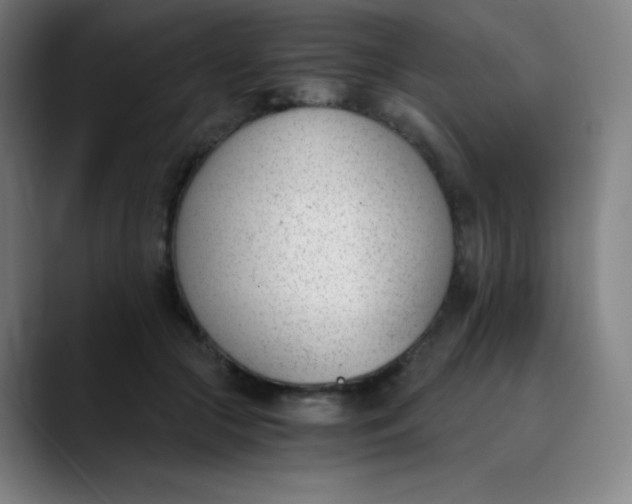 X0000089850553200707121720