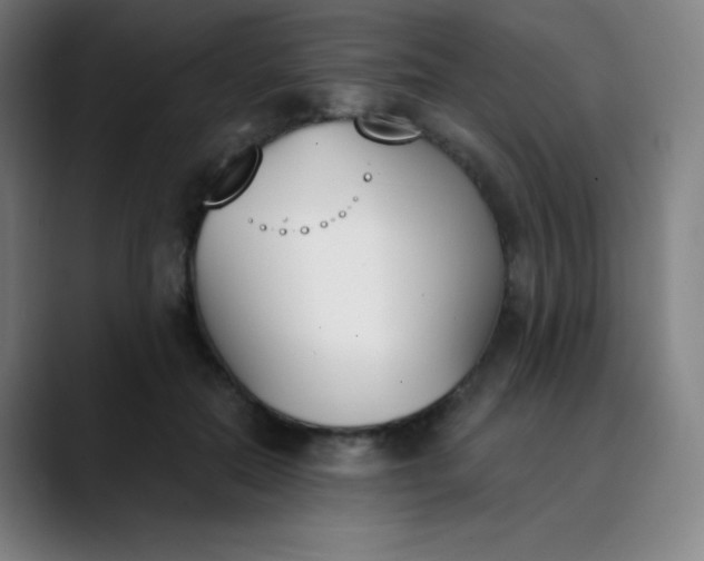 X0000089850554200707121720