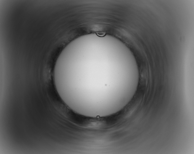 X0000089850555200707121720
