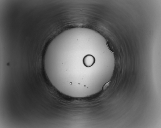 X0000089850556200707121720