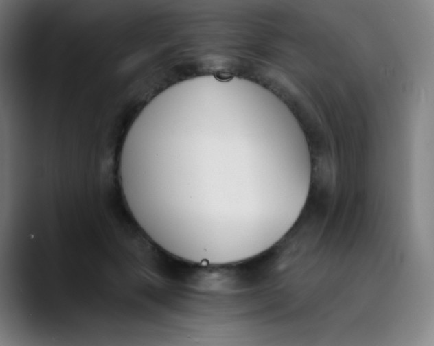 X0000089850557200707121720
