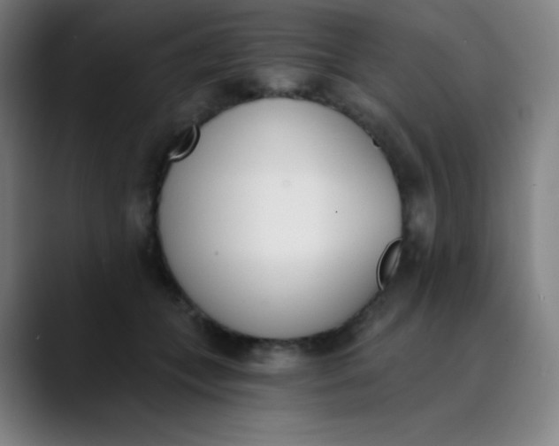 X0000089850559200707121720