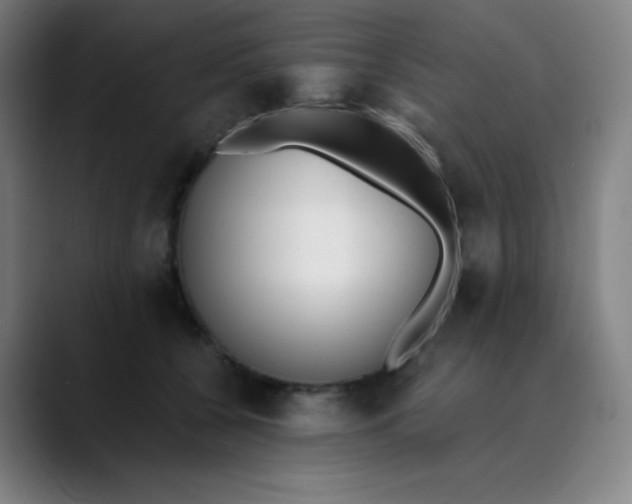 X0000089850560200707121720
