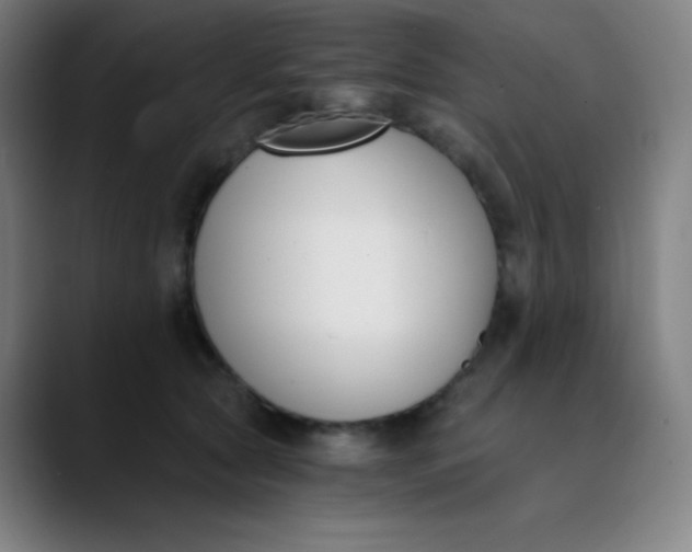 X0000089850561200707121720