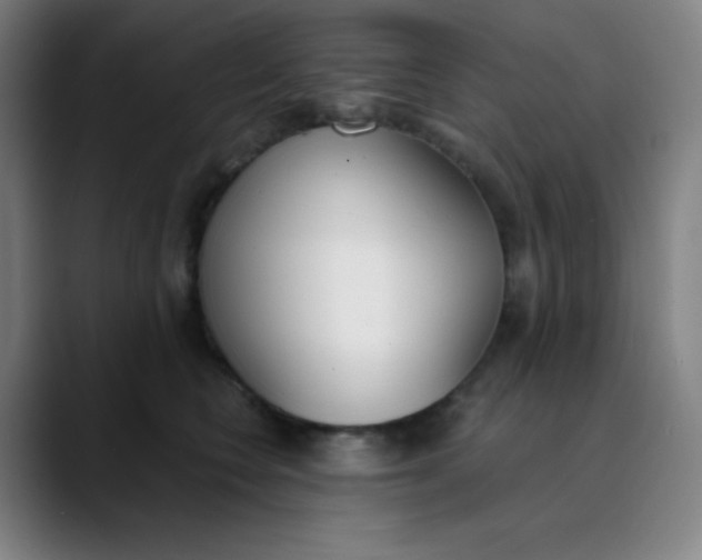 X0000089850566200707121720