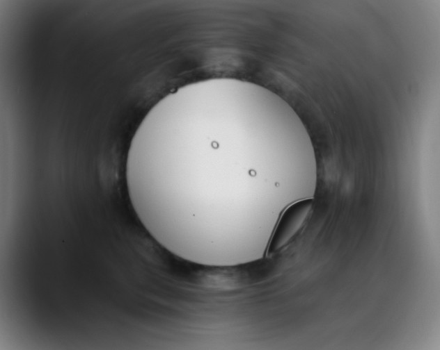 X0000089850567200707121720