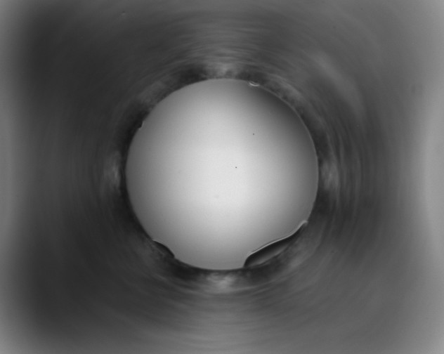 X0000089850570200707121720