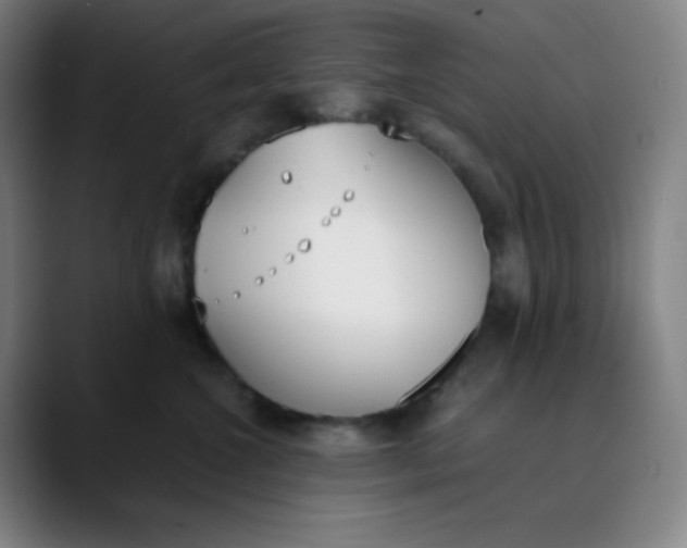 X0000089850572200707121720