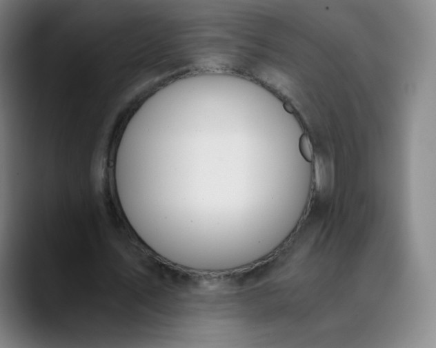 X0000089850579200707121719