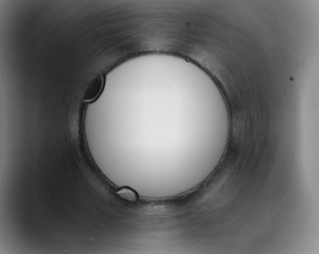 X0000089850581200707121719