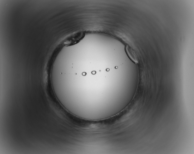 X0000089850584200707121719