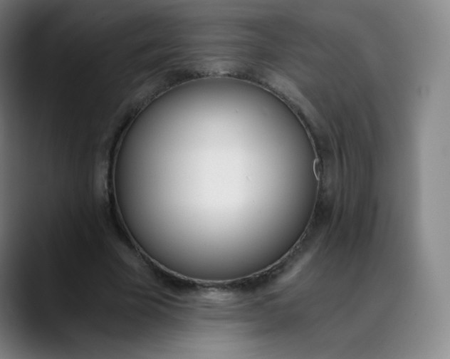 X0000089850585200707121719
