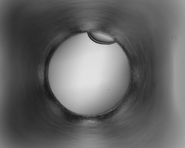 X0000089850586200707121719
