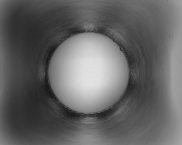 X0000089850593200707121719